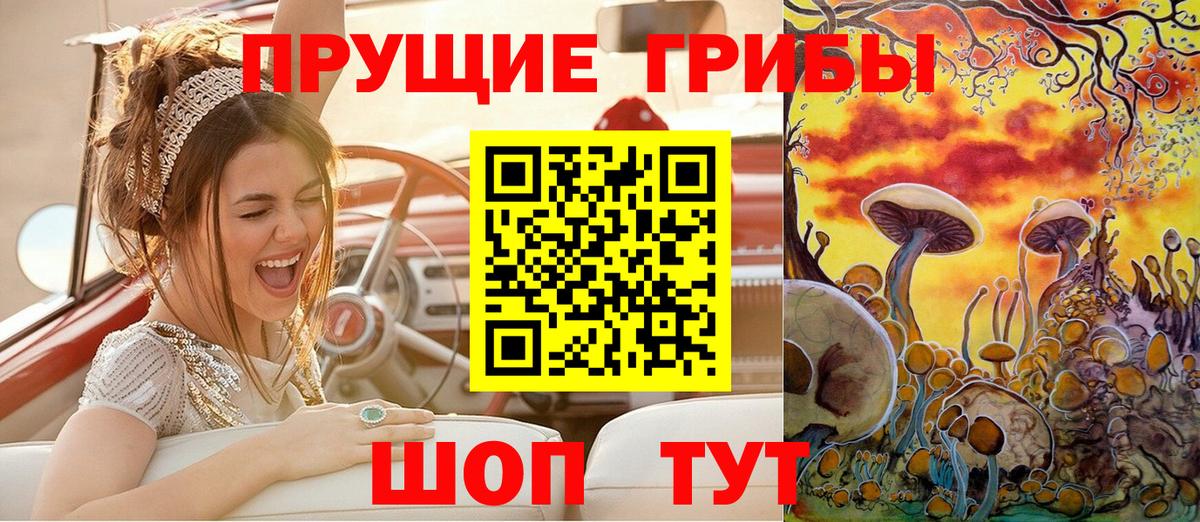 купить наркотики сайты  Псилоцибиновые грибы ЛСД  Соль-Илецк  Вход с VPN  Псилоцибиновые грибы мицелий 